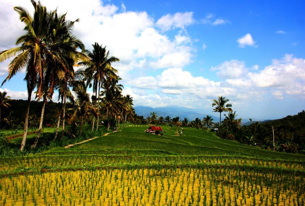 Puri Alam Bali Otel Munduk Dış mekan fotoğraf